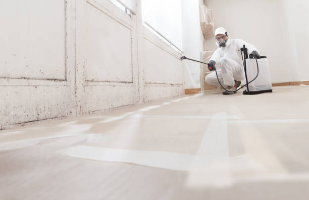 24/7 Emergency Commercial Mold Remediation experts in Rogers, TX