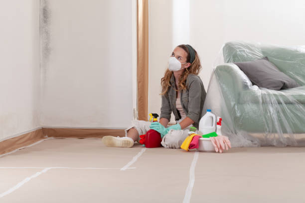 Reliable Commercial Mold Remediation contractor in Rogers, TX by Mold Remediation HQ